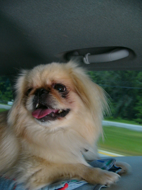 Buster2
