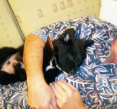Lobo-and-me