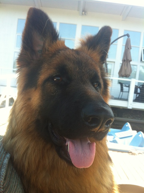 kipling tongue close up